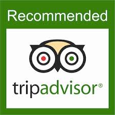 Trip advisor